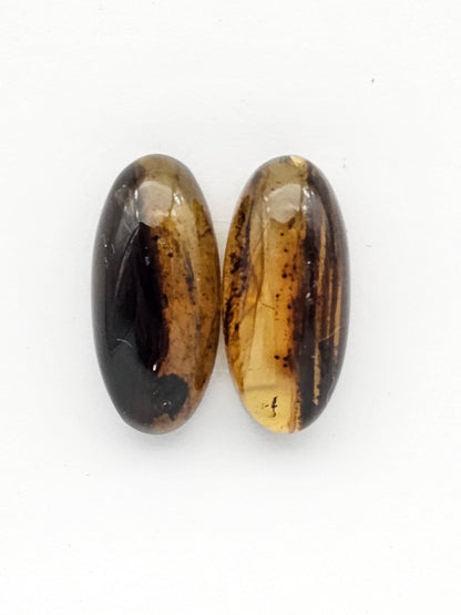 Amber authentic cabochon pair large