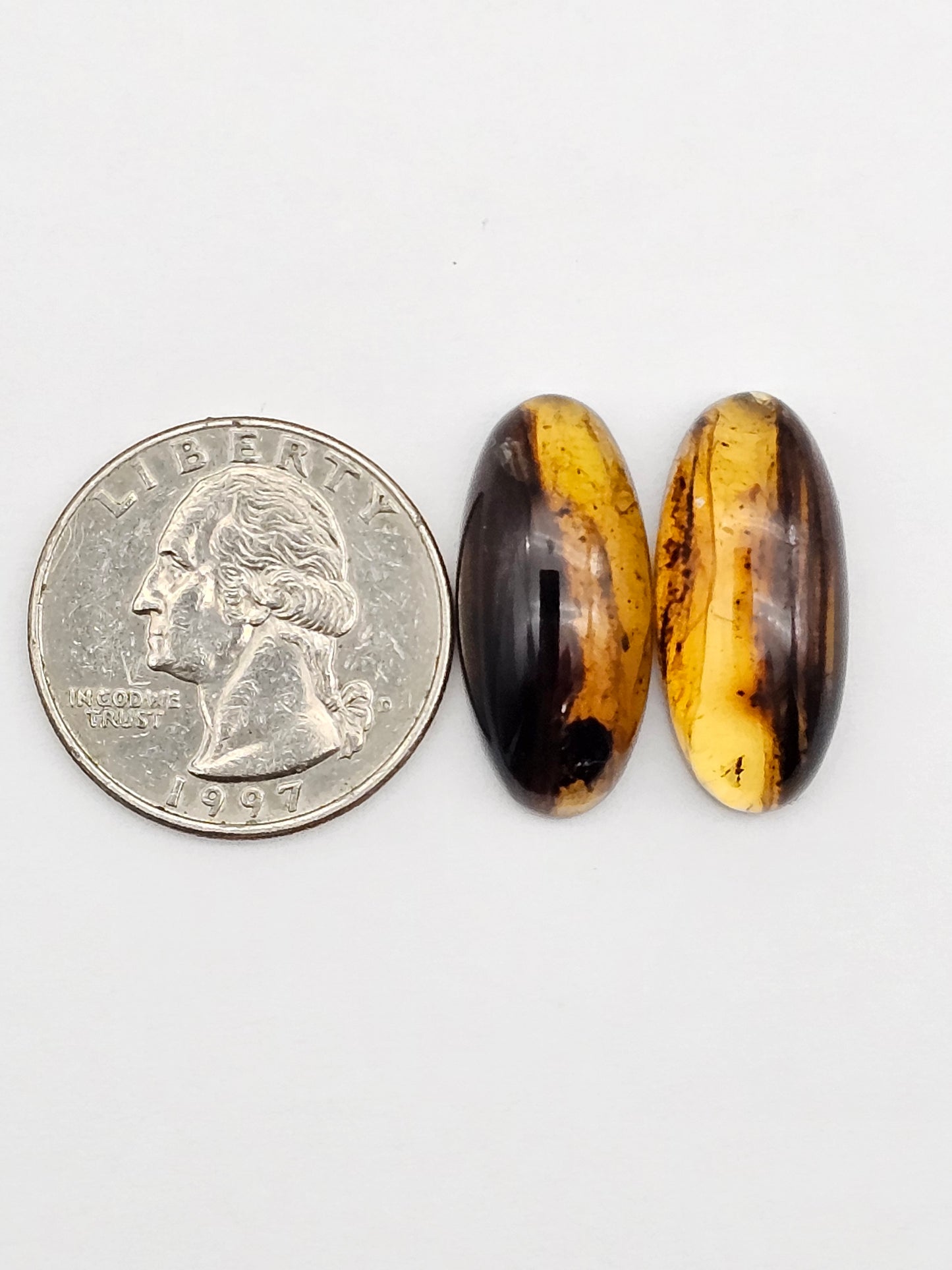 Amber authentic cabochon pair large