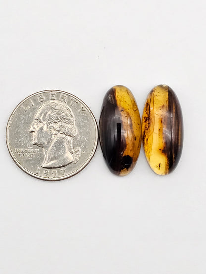 Amber authentic cabochon pair large