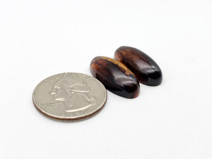 Amber authentic cabochon pair large