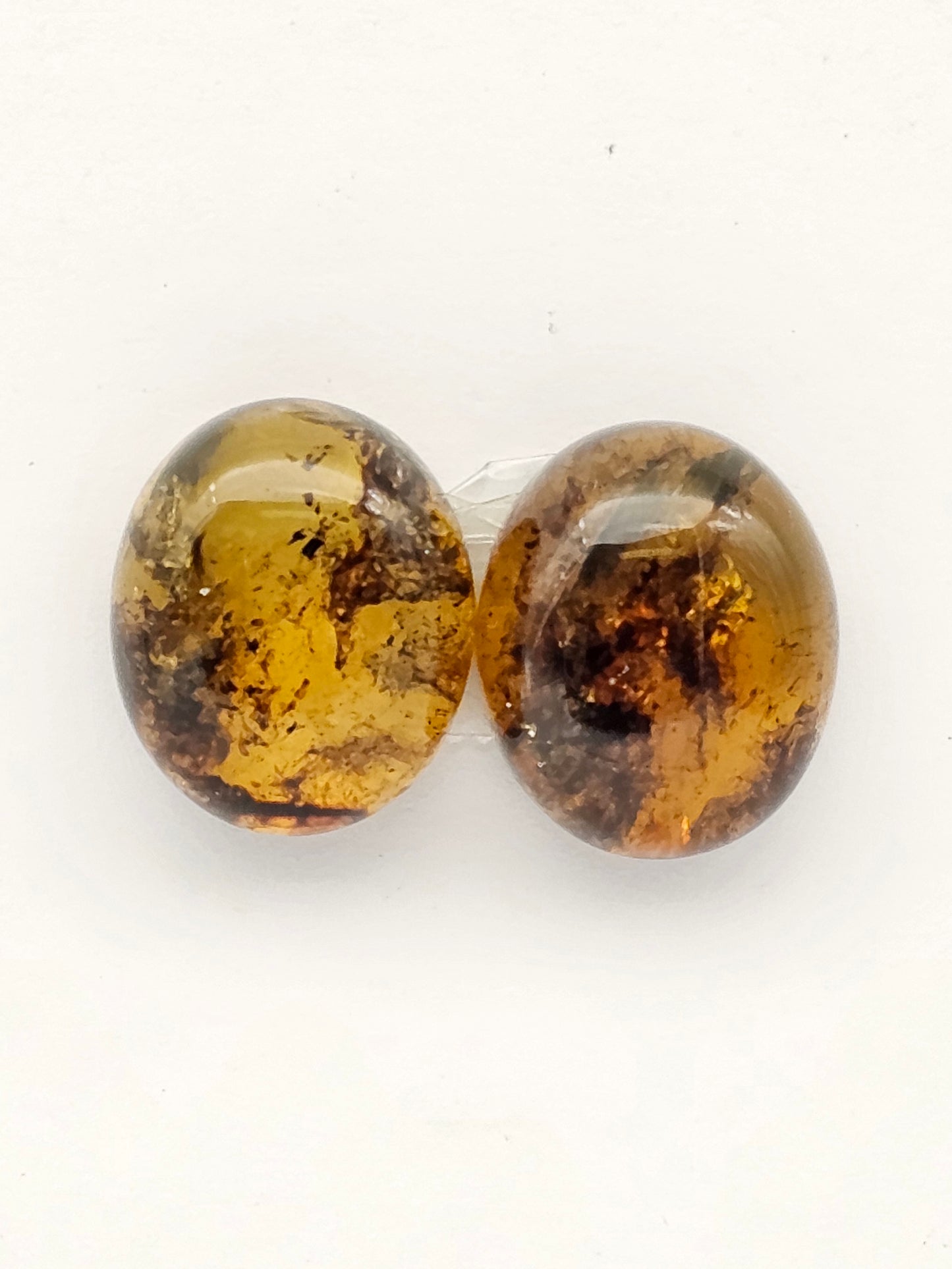 Amber authentic cabochon pair large