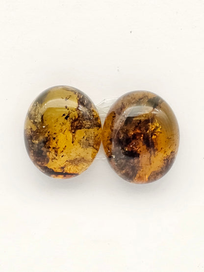 Amber authentic cabochon pair large
