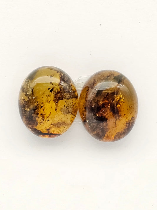 Amber authentic cabochon pair large