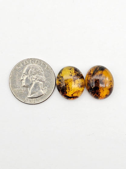 Amber authentic cabochon pair large
