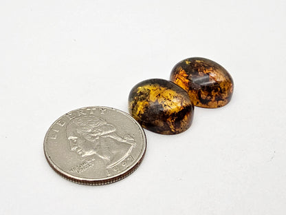 Amber authentic cabochon pair large