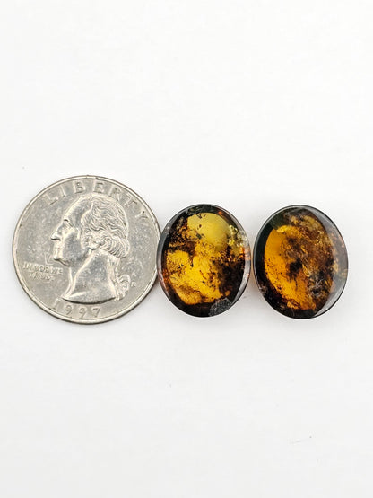 Amber authentic cabochon pair large