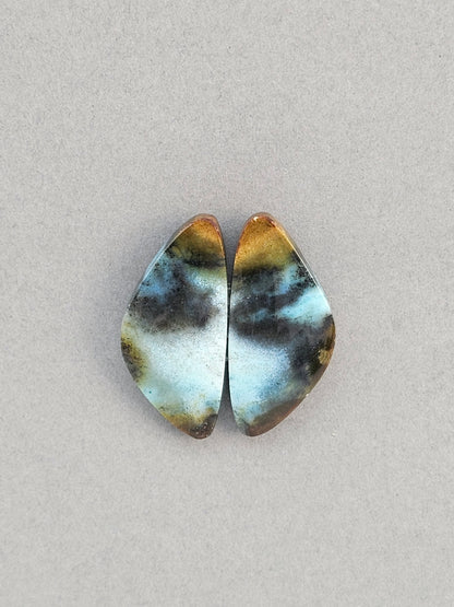 Blue opalized petrified wood Cabochon Pair
