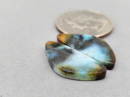 Blue opalized petrified wood Cabochon Pair
