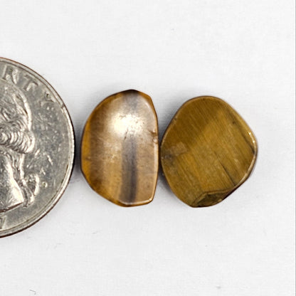 Tiger Eye Geometric Half Faceted Cabochon set