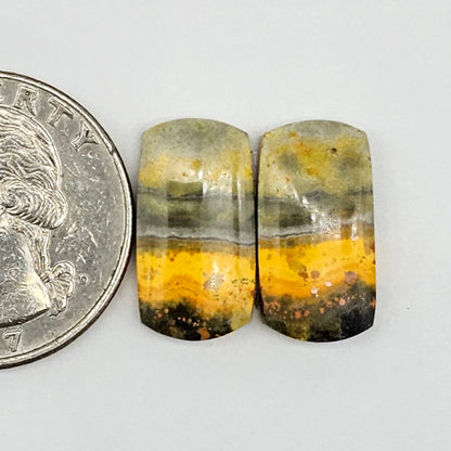 Bumblebee Jasper Cabochon Pair