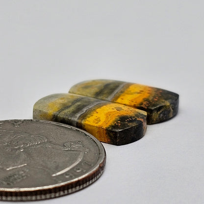 Bumblebee Jasper Cabochon Pair