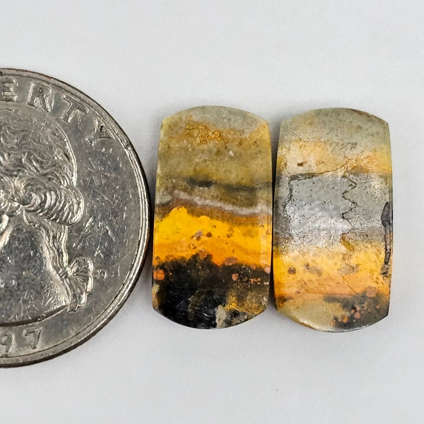 Bumblebee Jasper Cabochon Pair