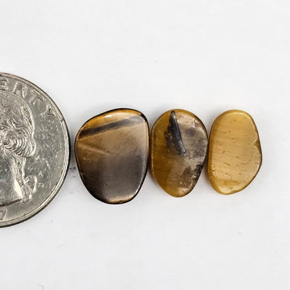 Tiger Eye Geometric Half Faceted Cabochon set