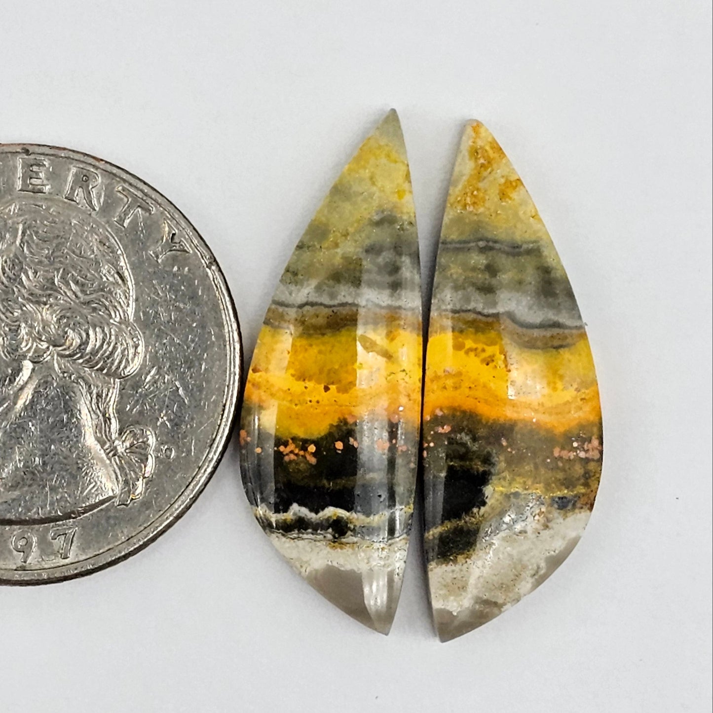 Bumblebee Jasper Cabochon Pair