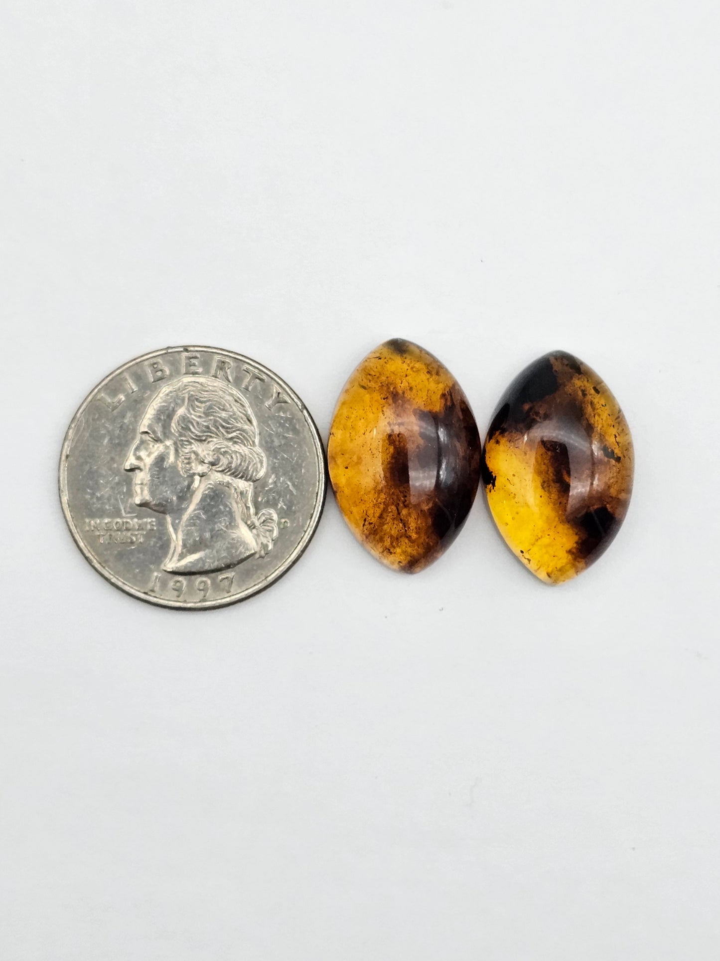 Amber authentic cabochon pair large