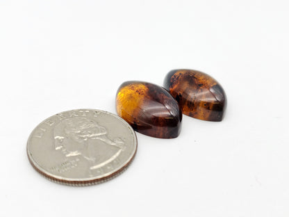 Amber authentic cabochon pair large
