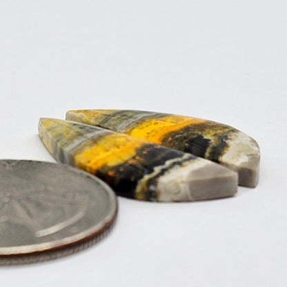 Bumblebee Jasper Cabochon Pair