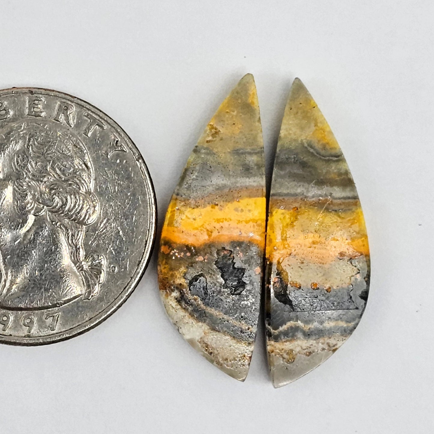Bumblebee Jasper Cabochon Pair