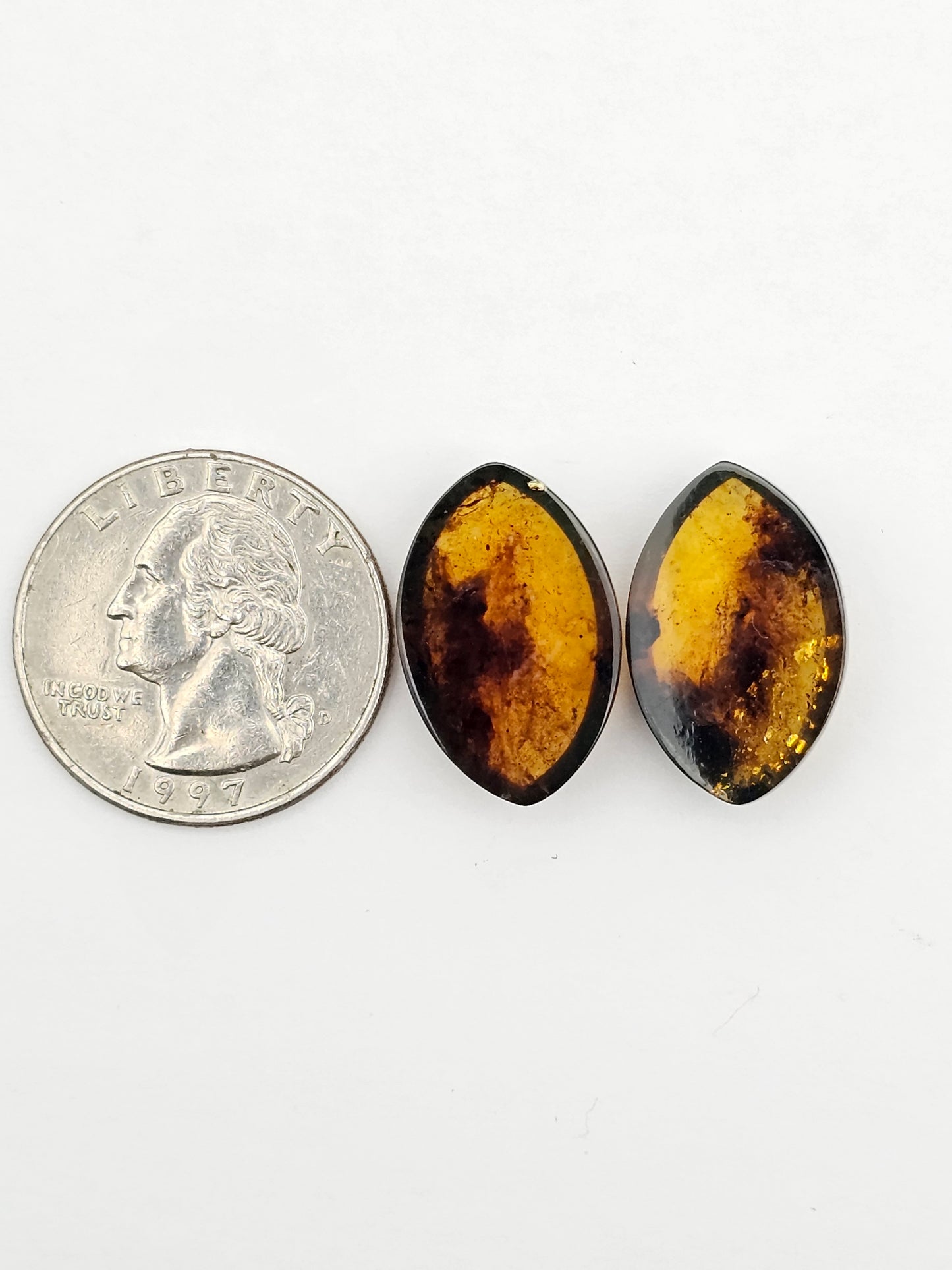 Amber authentic cabochon pair large
