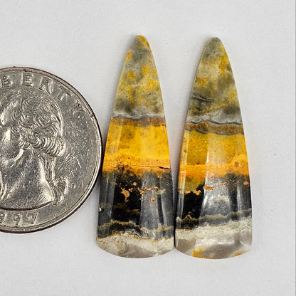 Bumblebee Jasper Cabochon Pair