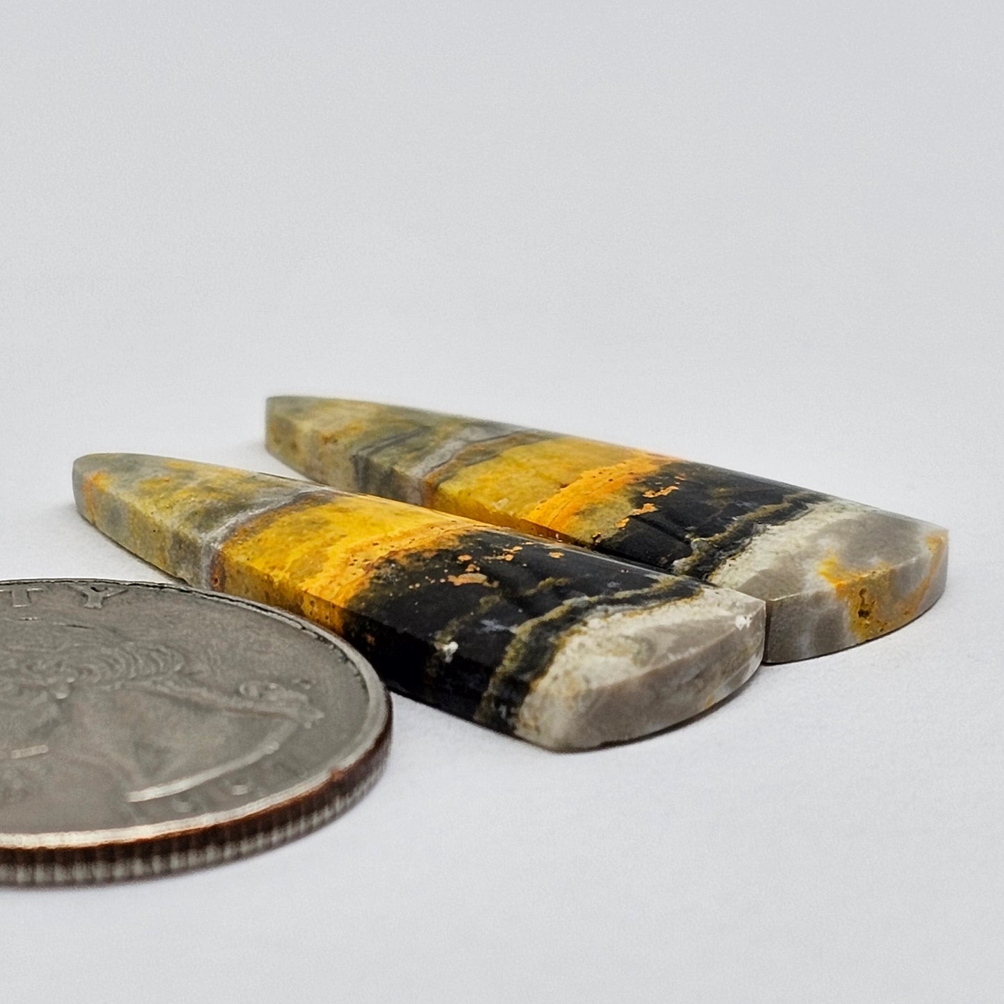 Bumblebee Jasper Cabochon Pair