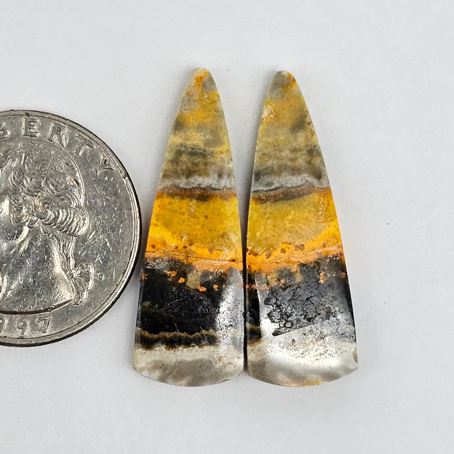 Bumblebee Jasper Cabochon Pair