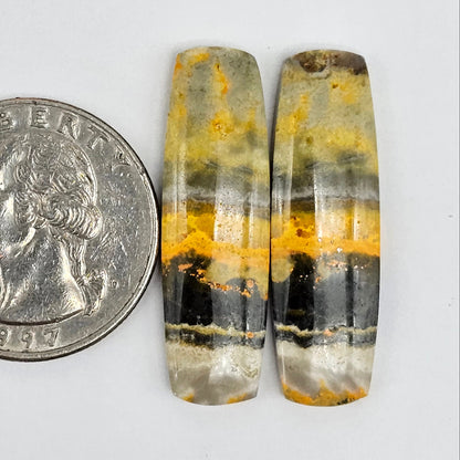 Bumblebee Jasper Cabochon Pair