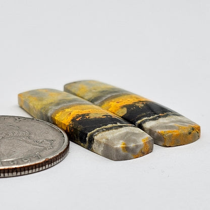 Bumblebee Jasper Cabochon Pair