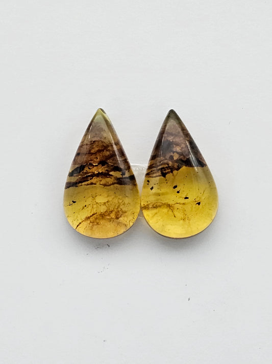 Amber authentic cabochon pair large