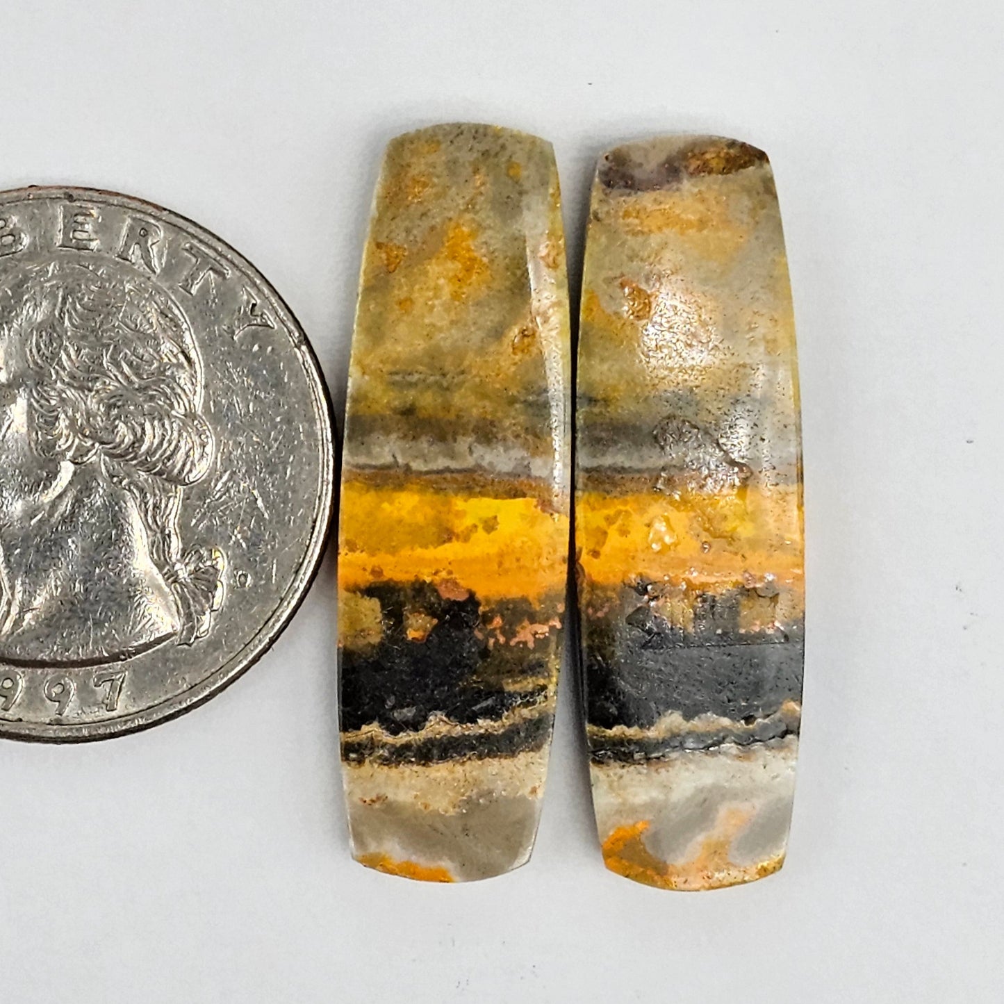 Bumblebee Jasper Cabochon Pair