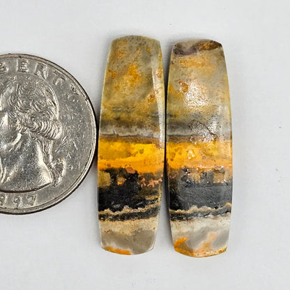 Bumblebee Jasper Cabochon Pair