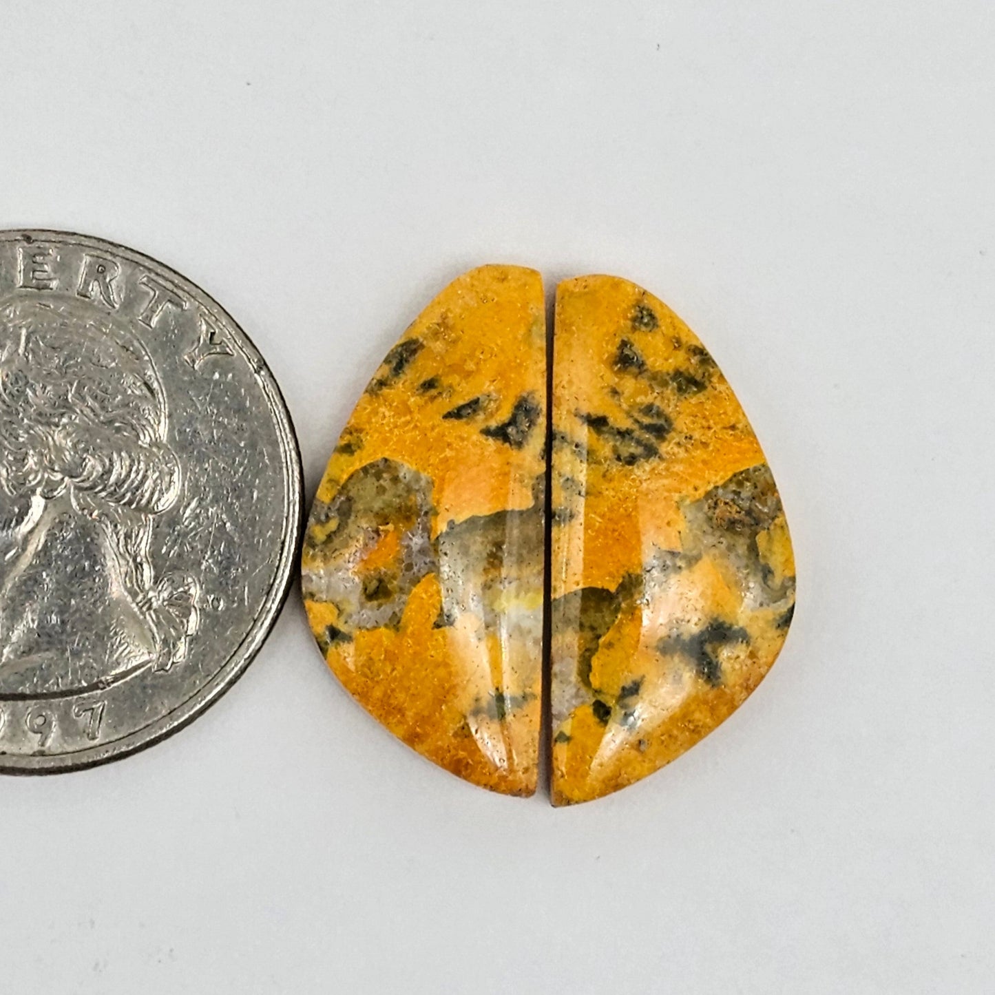 Bumblebee Jasper Cabochon Pair