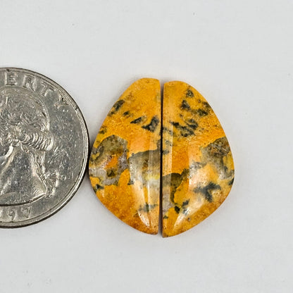 Bumblebee Jasper Cabochon Pair