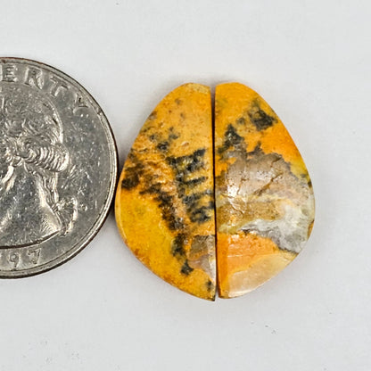 Bumblebee Jasper Cabochon Pair