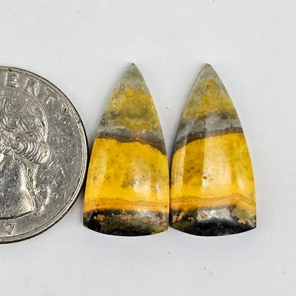Bumblebee Jasper Cabochon Pair