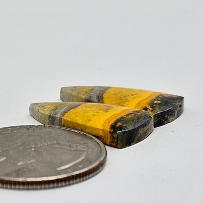 Bumblebee Jasper Cabochon Pair