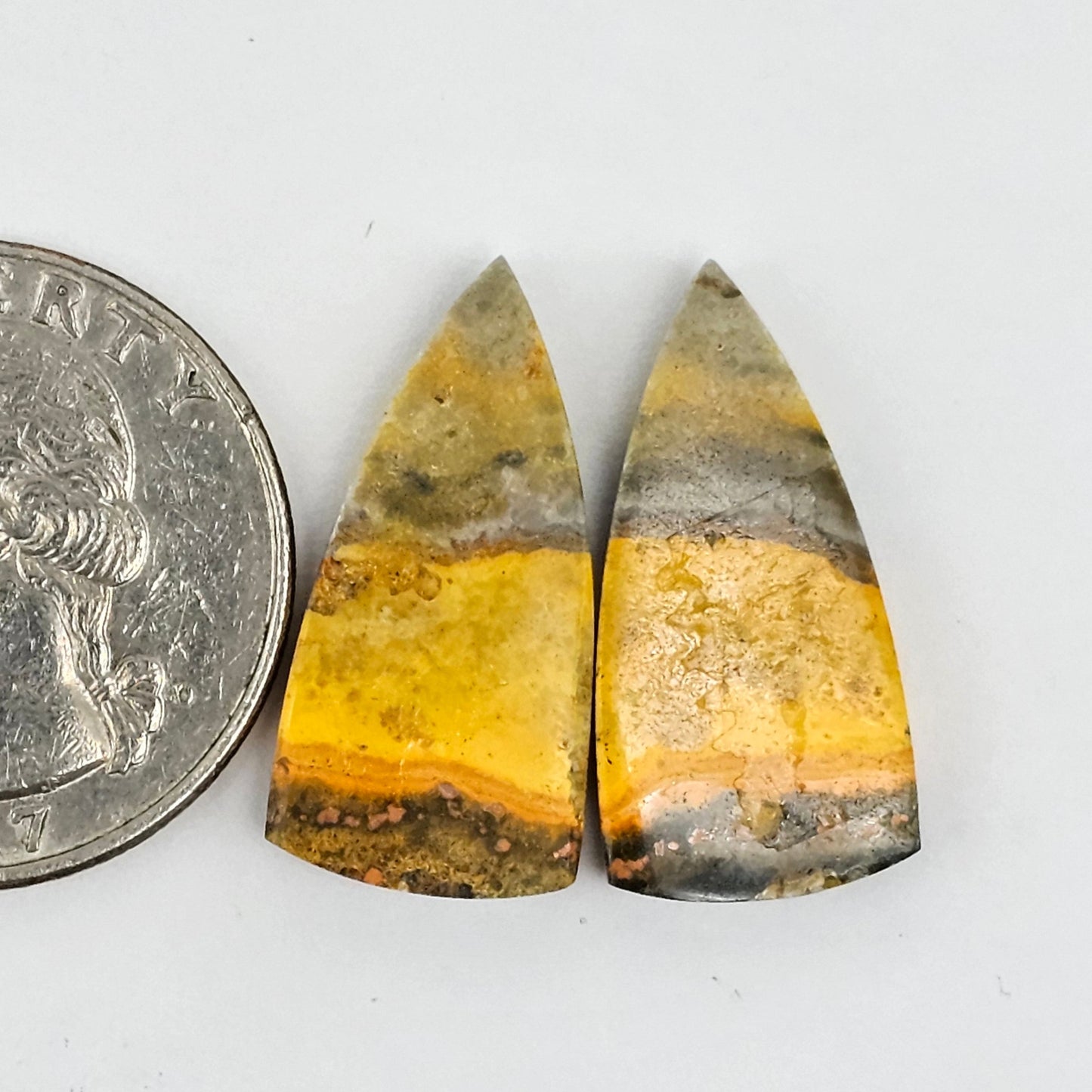 Bumblebee Jasper Cabochon Pair