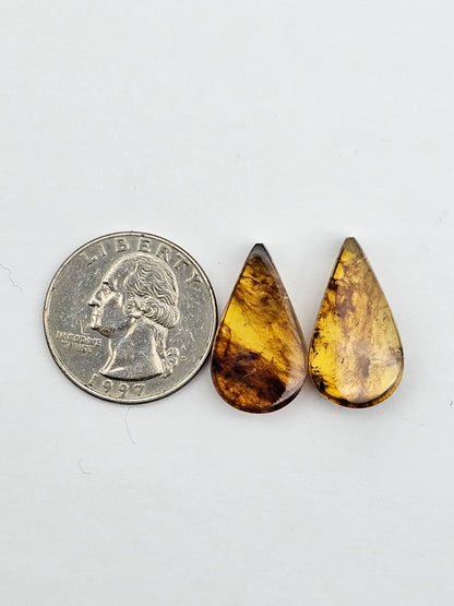 Amber authentic cabochon pair large