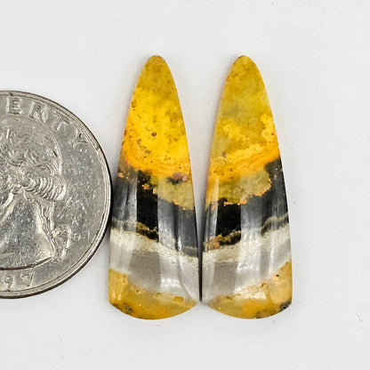 Bumblebee Jasper Cabochon Pair