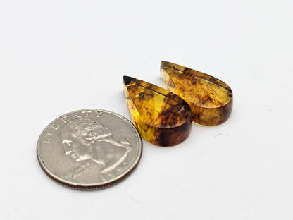 Amber authentic cabochon pair large