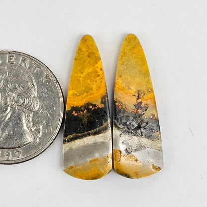 Bumblebee Jasper Cabochon Pair