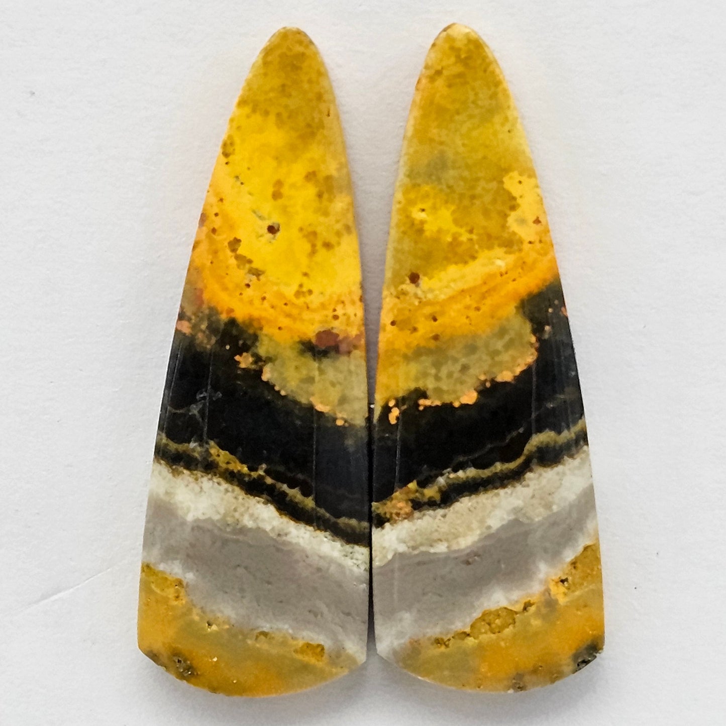 Bumblebee Jasper Cabochon Pair