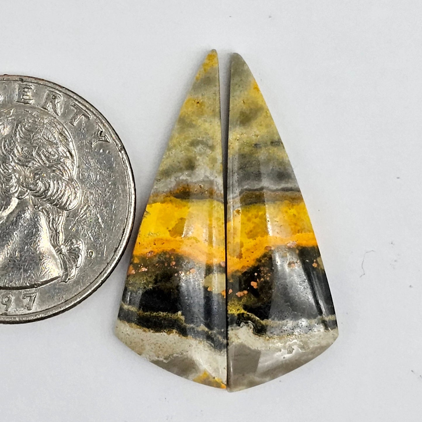 Bumblebee Jasper Cabochon Pair