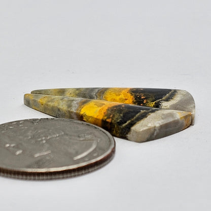 Bumblebee Jasper Cabochon Pair