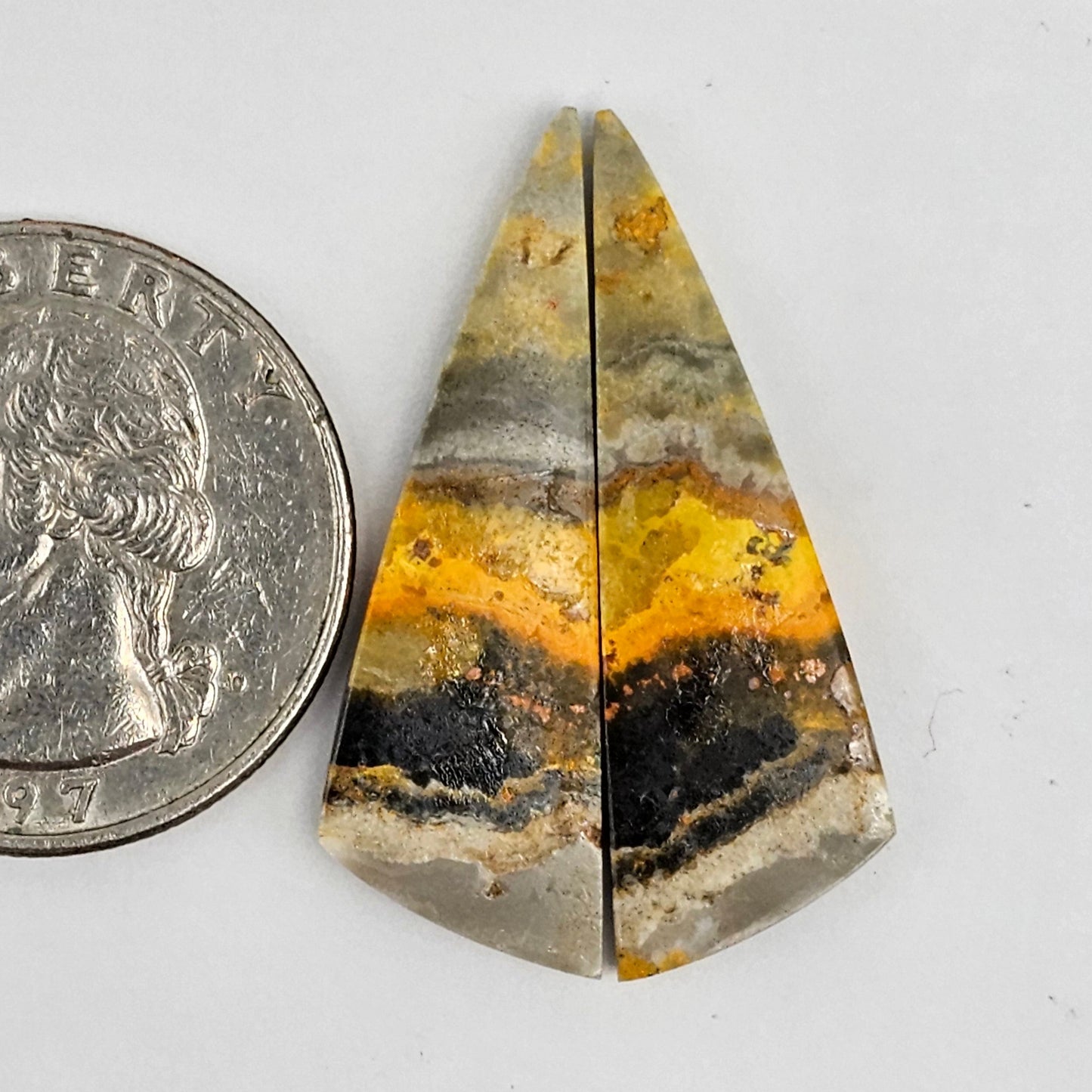 Bumblebee Jasper Cabochon Pair