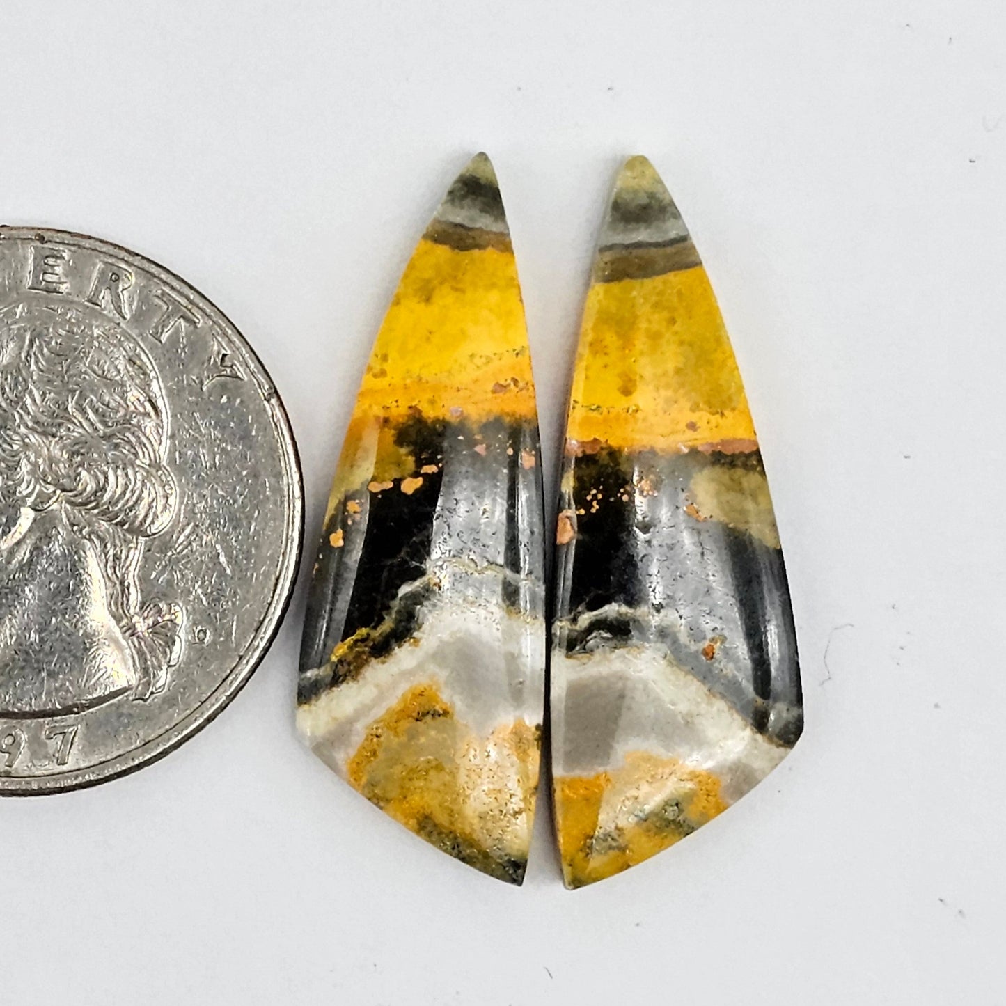 Bumblebee Jasper Cabochon Pair