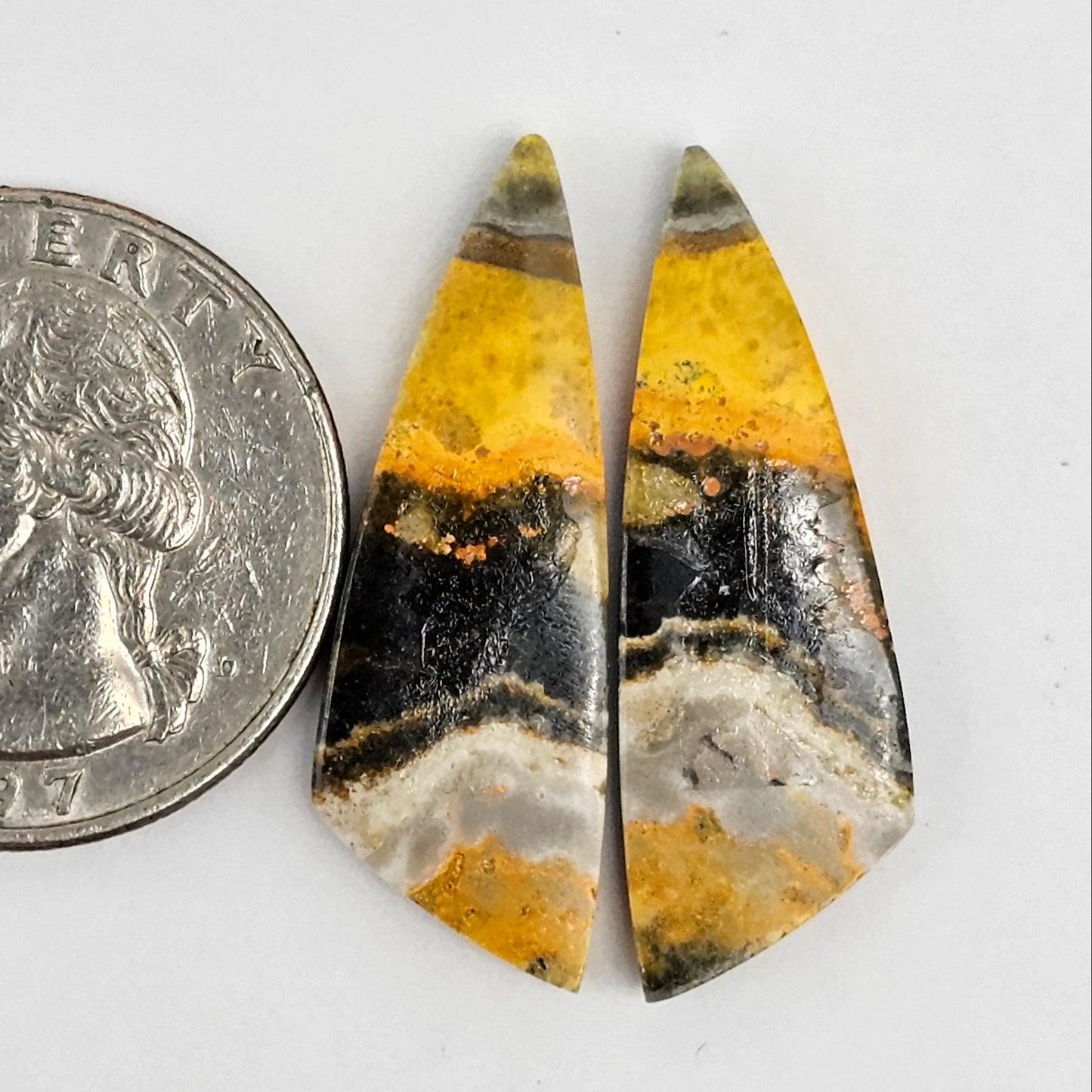 Bumblebee Jasper Cabochon Pair