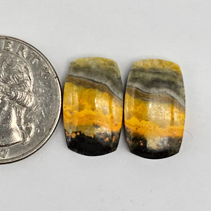 Bumblebee Jasper Cabochon Pair