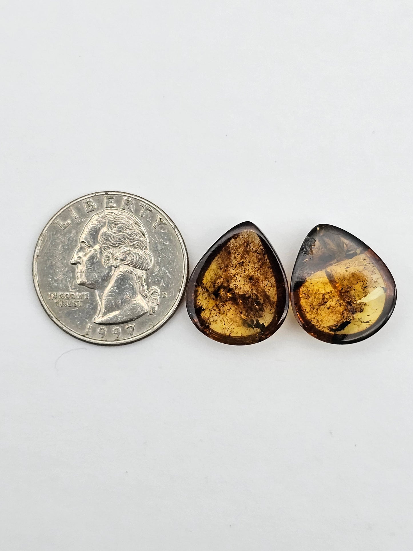 Amber authentic cabochon pair large
