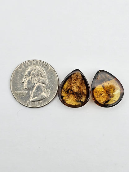 Amber authentic cabochon pair large